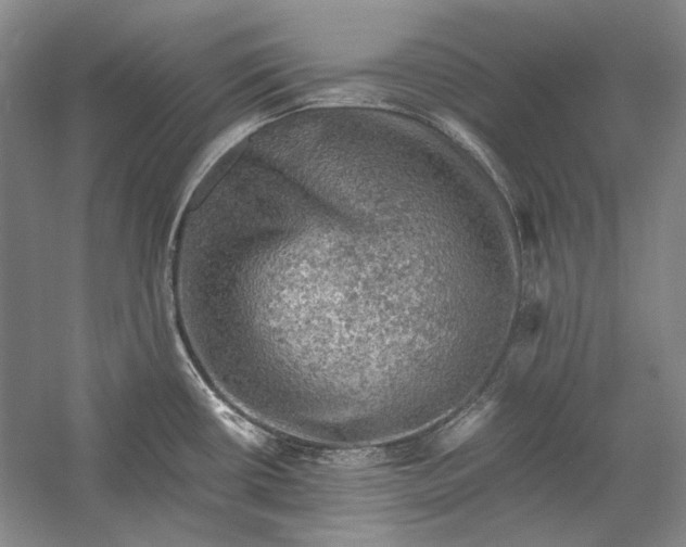 X0000058761434200510171147