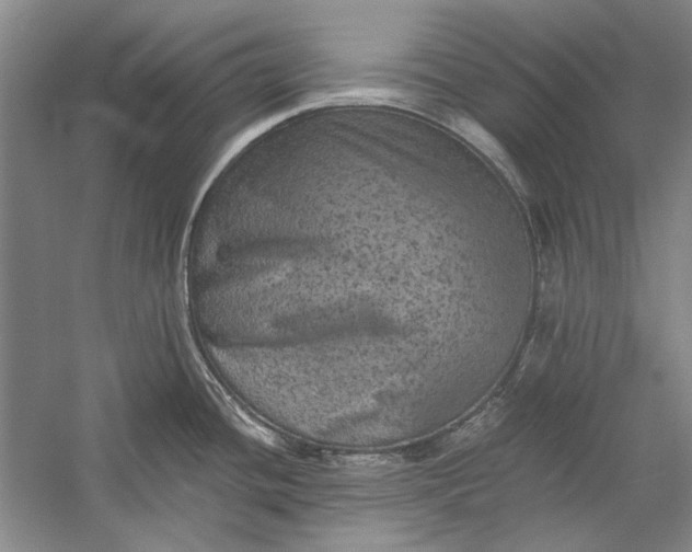 X0000058761436200510171147