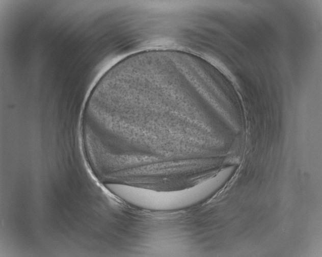 X0000058761440200510171147