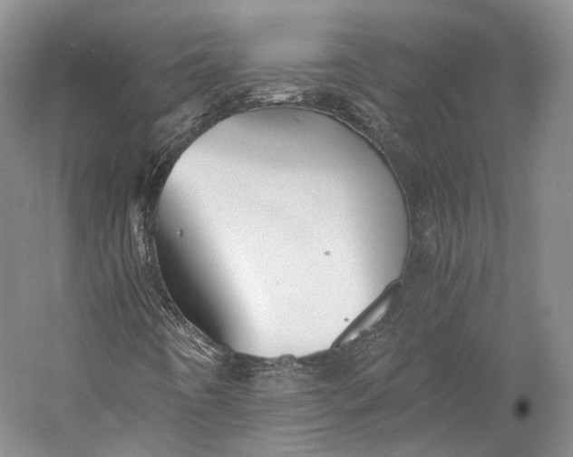 X0000058761442200510171146