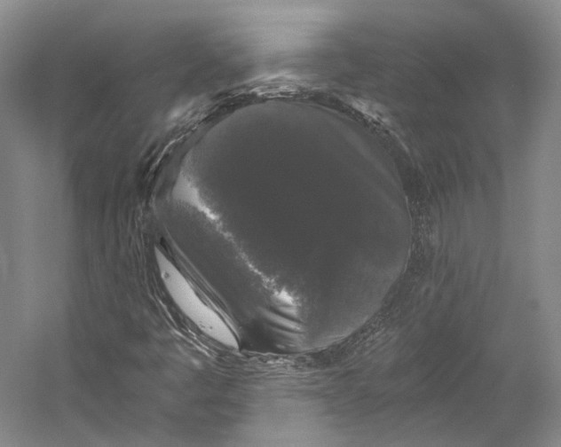 X0000058761445200510171146