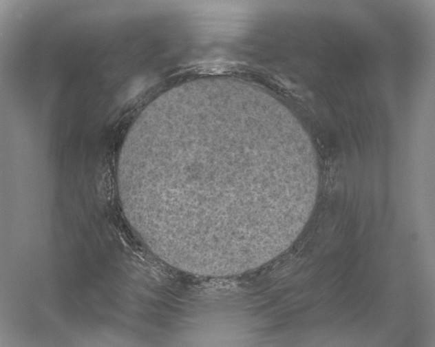 X0000058761446200510171146