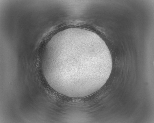 X0000058761447200510171146