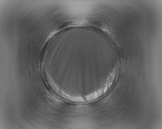 X0000058761449200510171146