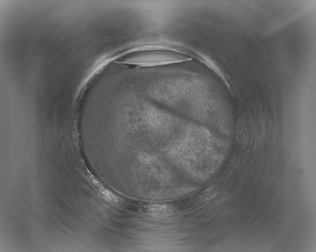 X0000058761456200510171146