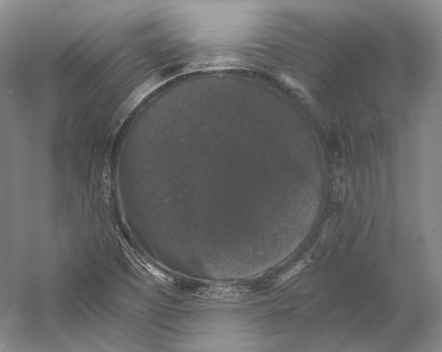 X0000058761457200510171146