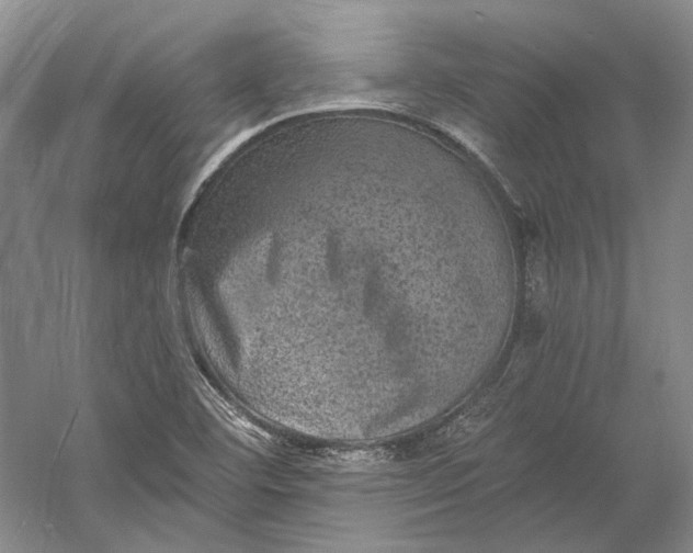 X0000058761460200510171146