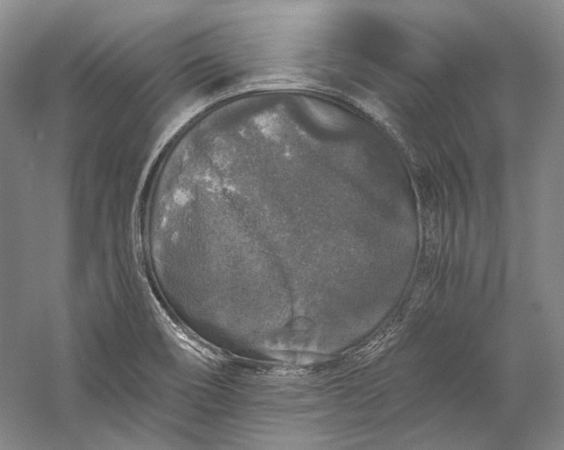X0000058761466200510171146