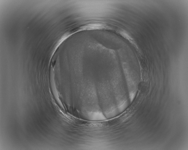 X0000058761473200510171146
