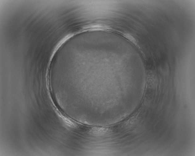 X0000058761474200510171146