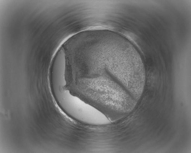 X0000058761476200510171146