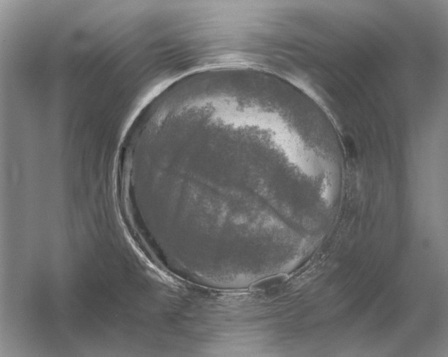 X0000058761477200510171146