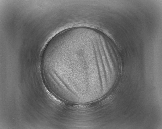X0000058761500200510171145