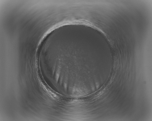 X0000058761506200510171145