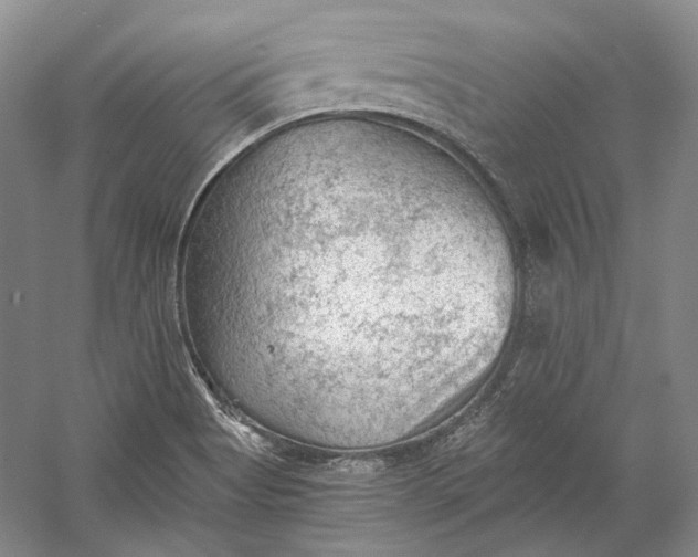 X0000058761513200510171145
