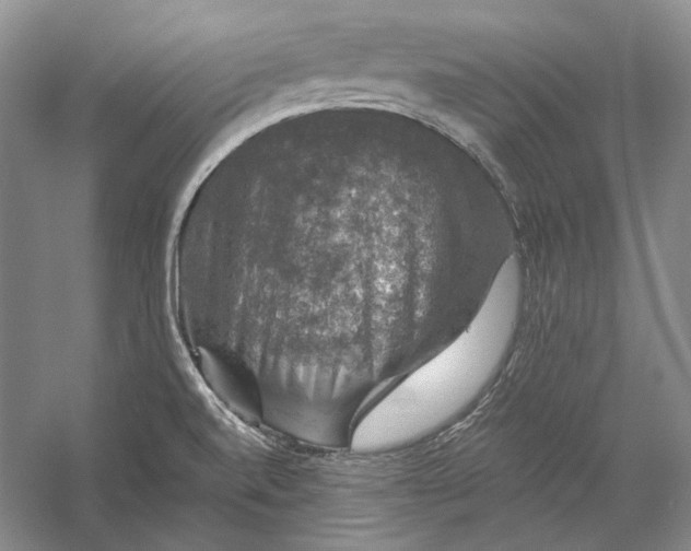 X0000058761520200510171145