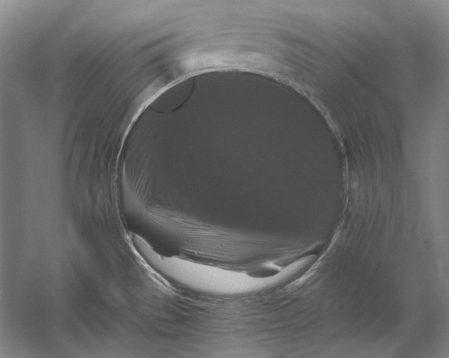 X0000058761529200510171145