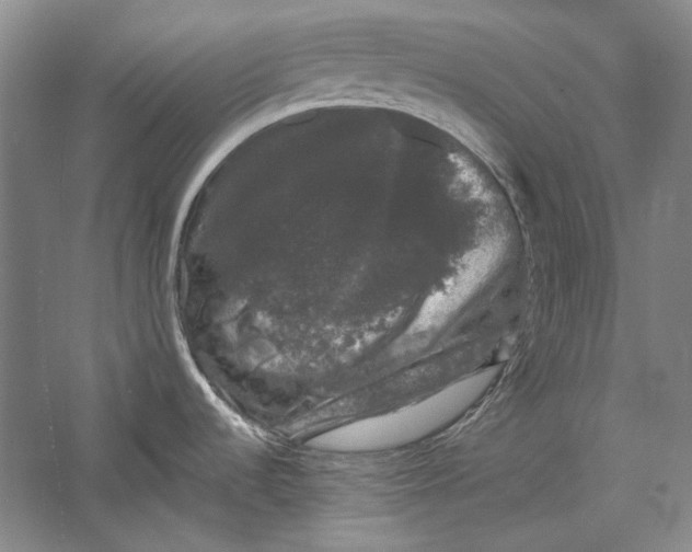 X0000058761536200510171146