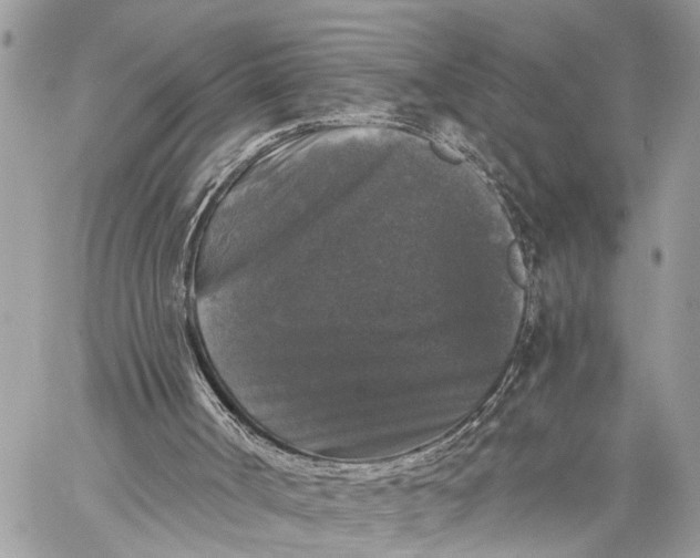 X0000058760002200510211709