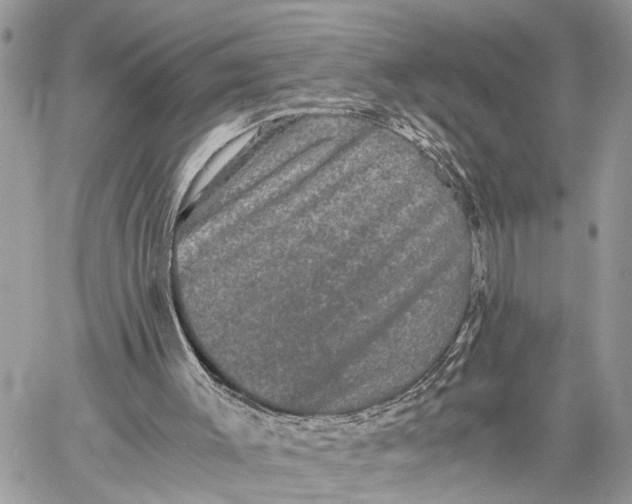 X0000058760003200510211709