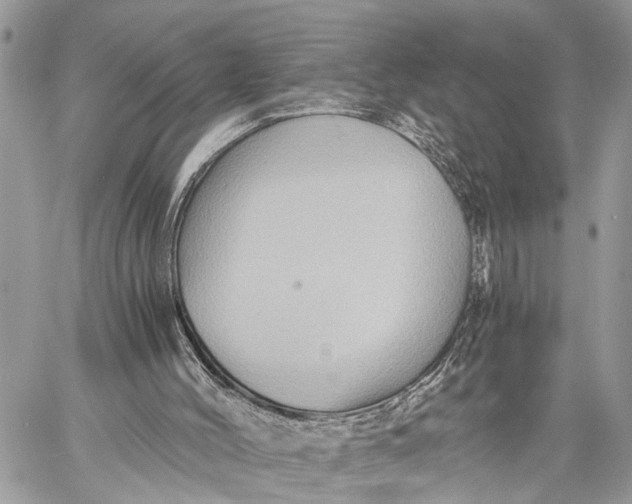 X0000058760004200510211709