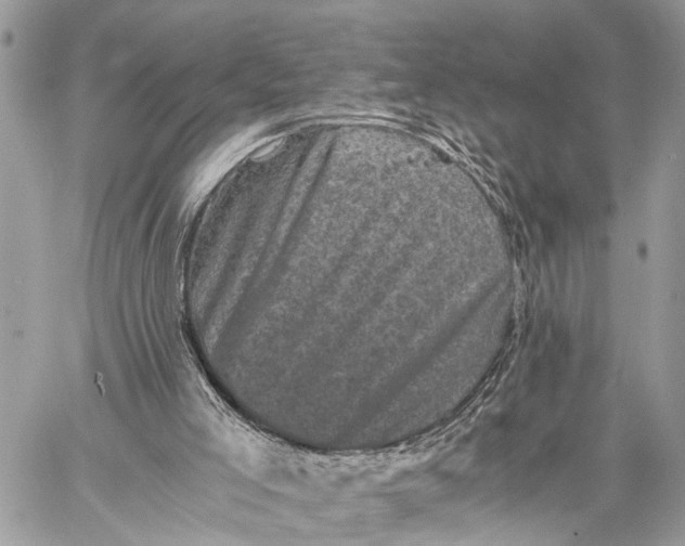 X0000058760005200510211709