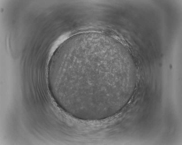 X0000058760006200510211709