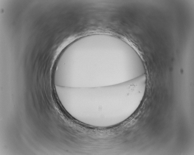 X0000058760008200510211709