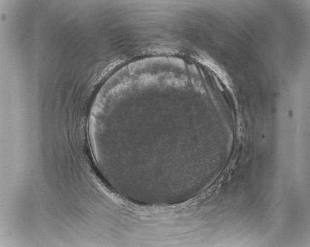 X0000058760009200510211709