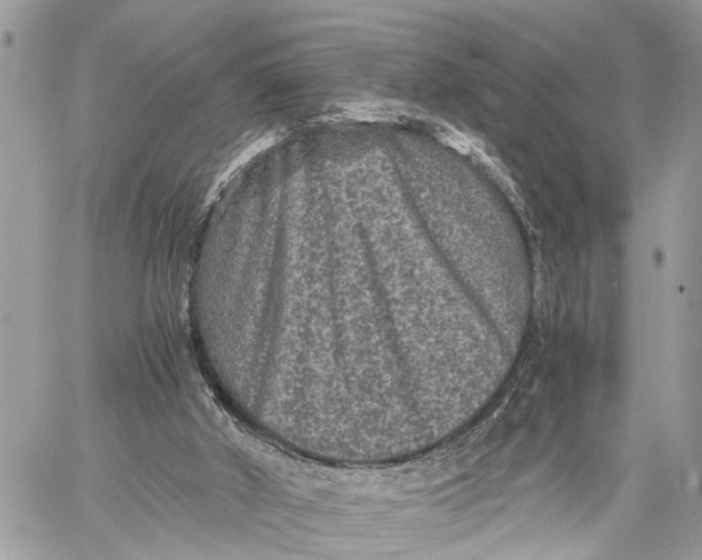 X0000058760010200510211709