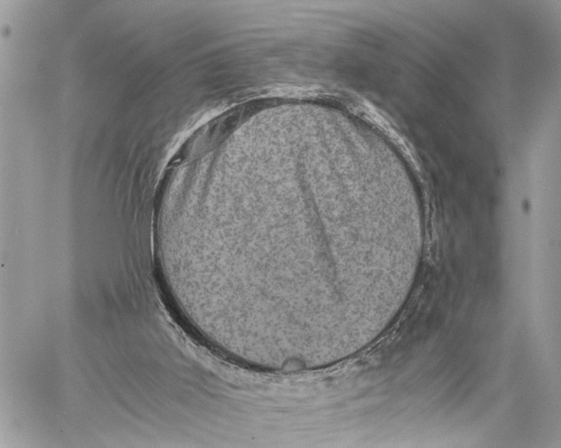 X0000058760011200510211709