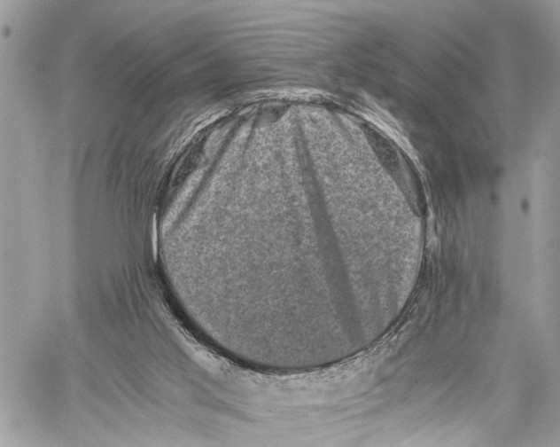 X0000058760013200510211709