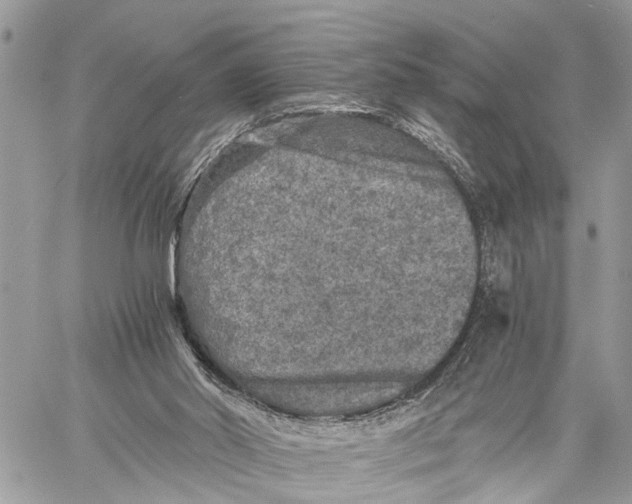 X0000058760014200510211709