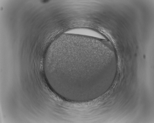 X0000058760017200510211709