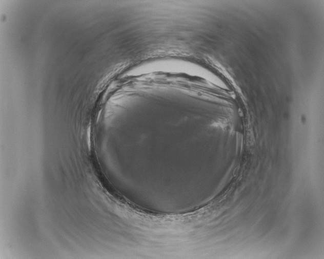 X0000058760019200510211709