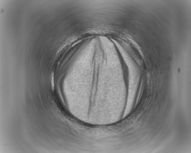 X0000058760020200510211709