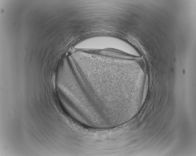 X0000058760021200510211709