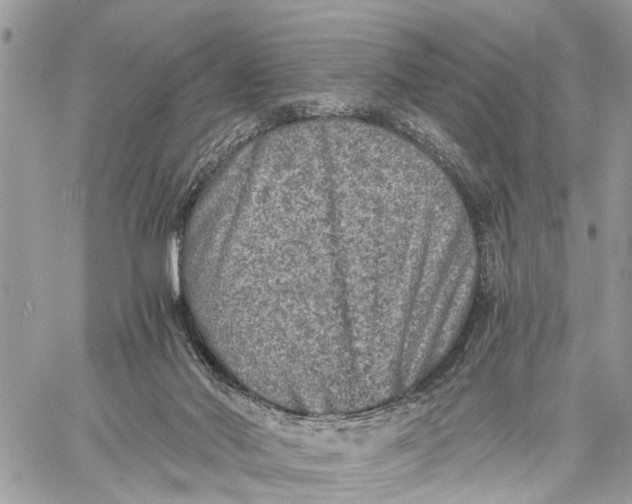 X0000058760022200510211709