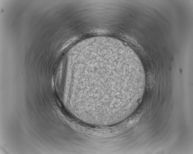 X0000058760024200510211709