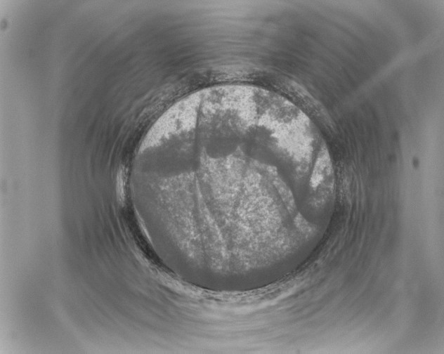 X0000058760026200510211709