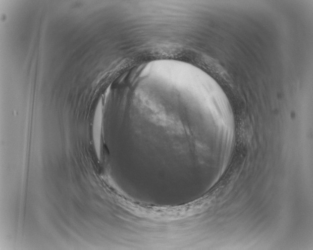 X0000058760027200510211709