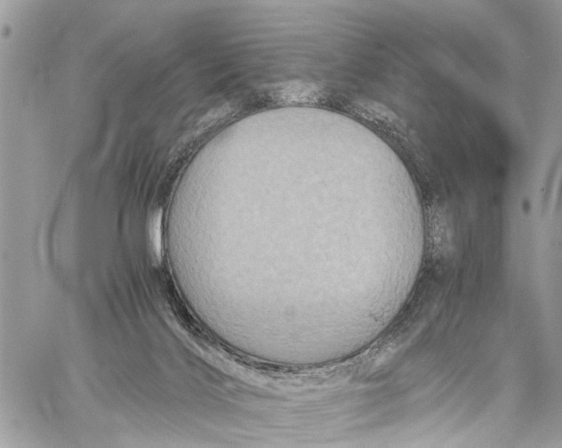 X0000058760028200510211709