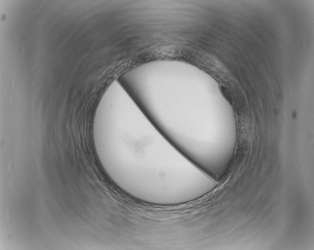 X0000058760029200510211709