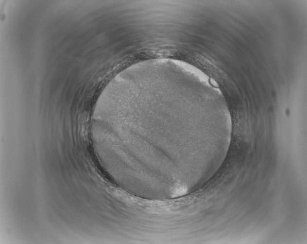 X0000058760030200510211709