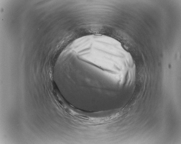 X0000058760031200510211709