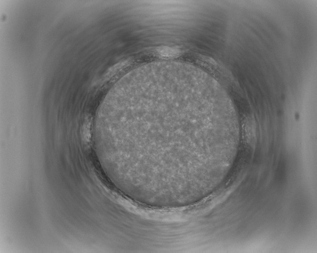 X0000058760032200510211709