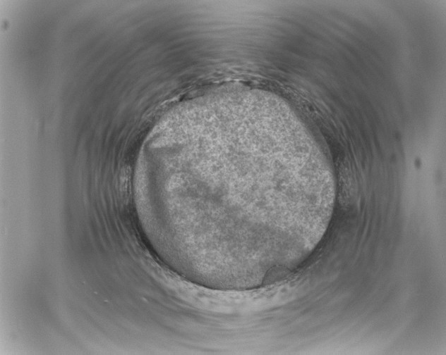 X0000058760034200510211709