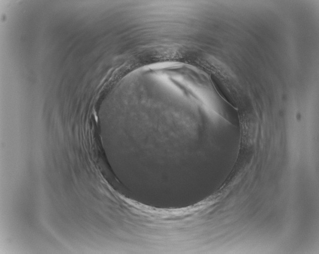 X0000058760035200510211709