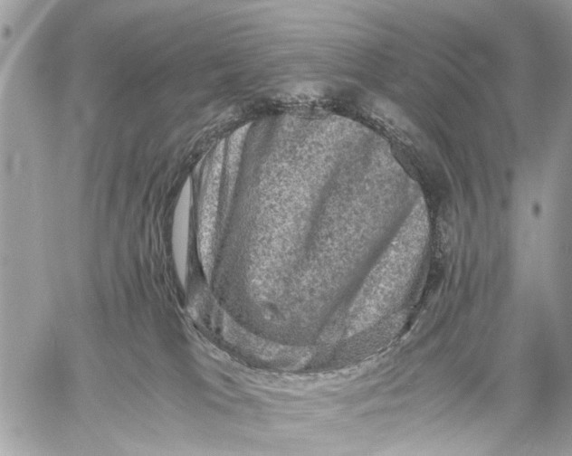 X0000058760037200510211709