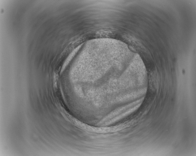 X0000058760038200510211709